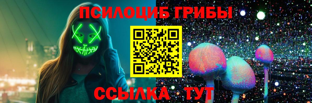 Мурино  Галлюциногенные грибы GOLDEN TEACHER  Галлюциногенные грибы прущие грибы  Вход с VPN 